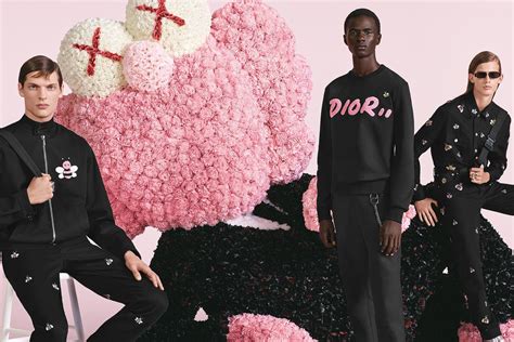 kaws x dior